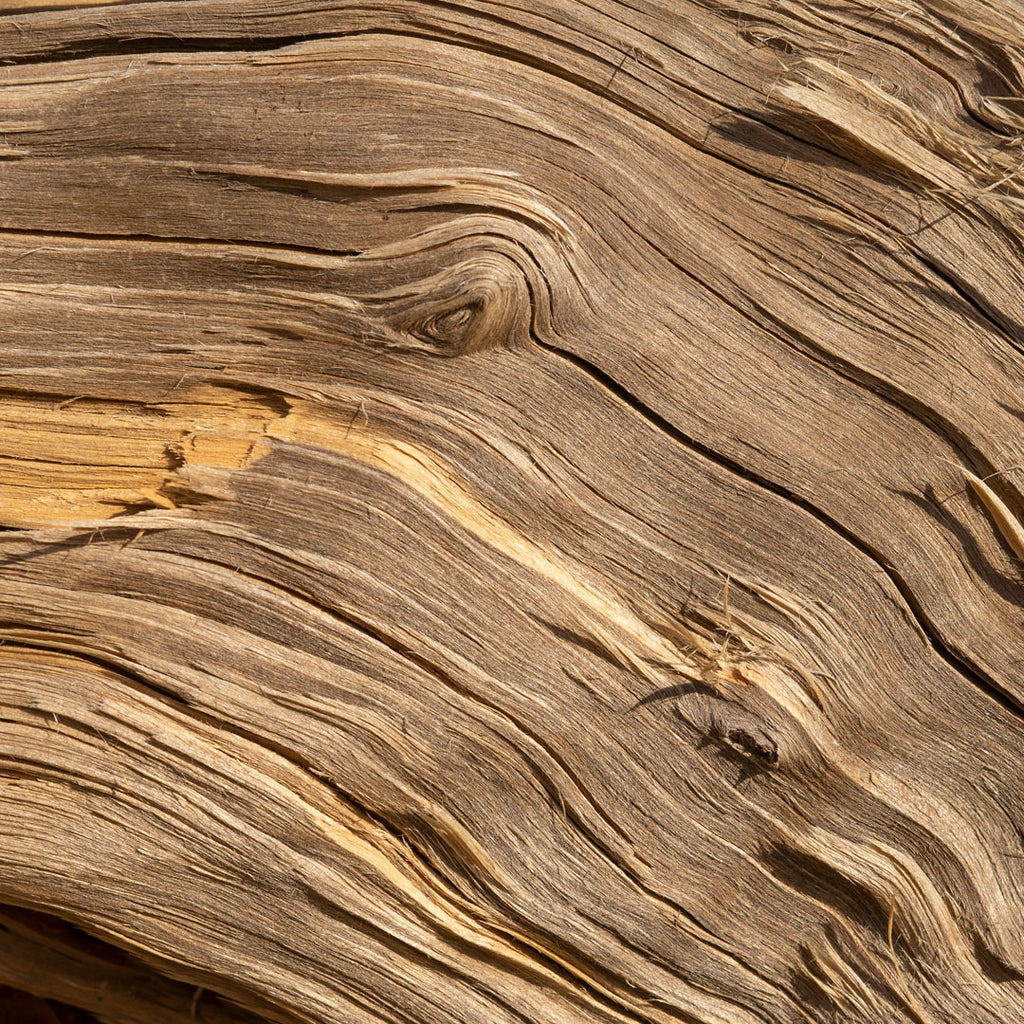 Scarlet Flame - Perfume Unisex Luxury