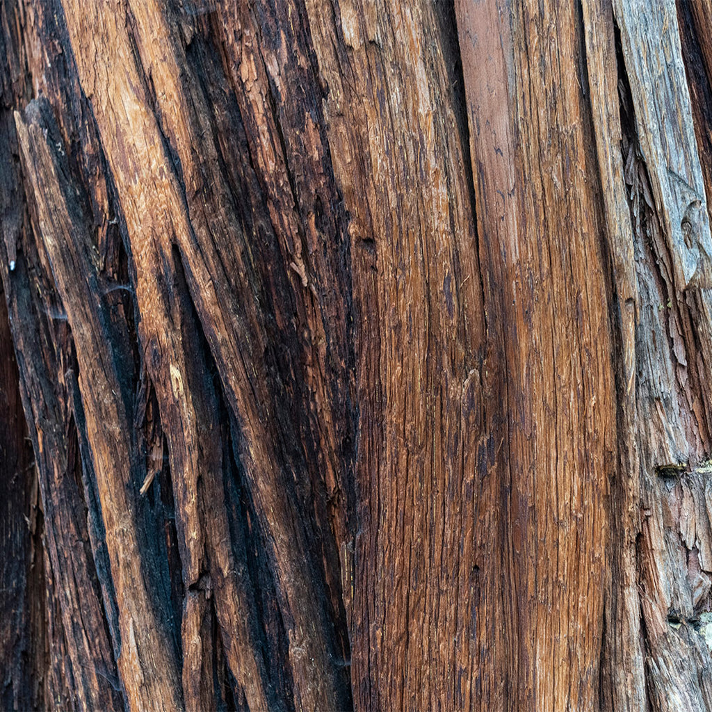 Dark Nectar - Perfume de Hombre 30Ml