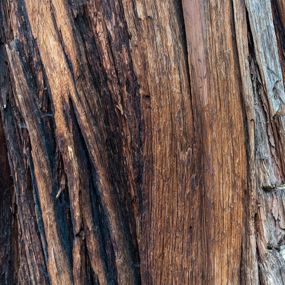 Dark Nectar - Perfume de Hombre 30Ml