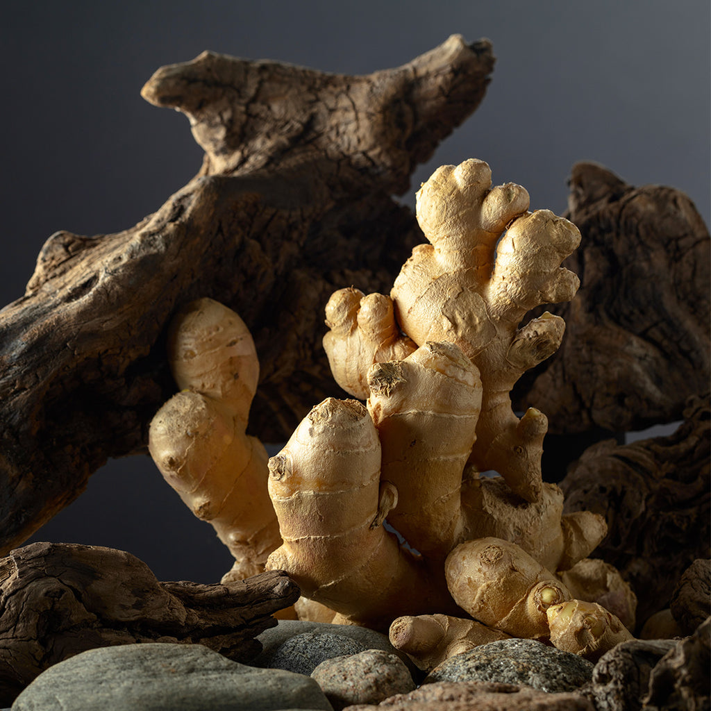 Divine Aura - Perfume de Mujer 70Ml